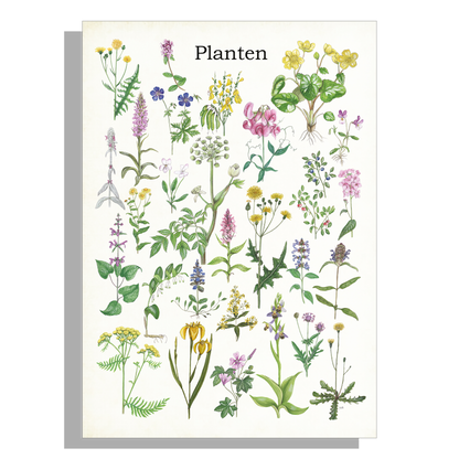 Tuinposter "Planten"