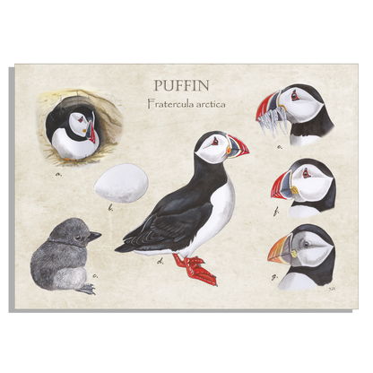Muismat "Puffin"