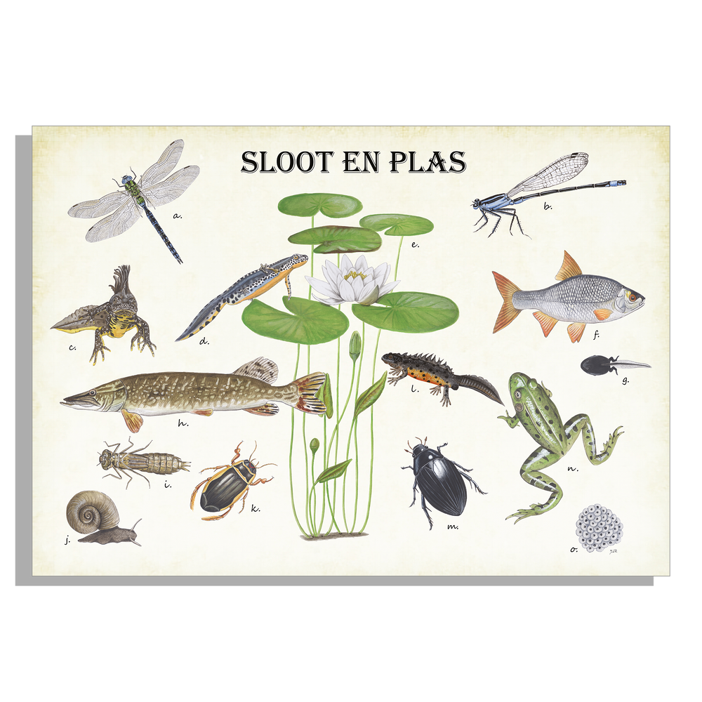 Inductieplaatbeschermer "Sloot en plas"