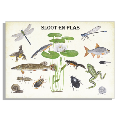 Tuinposter "Sloot en plas"