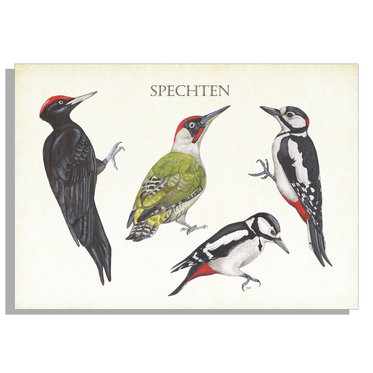 Inductieplaatbeschermer "Spechten"