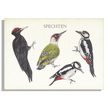 Inductieplaatbeschermer "Spechten"