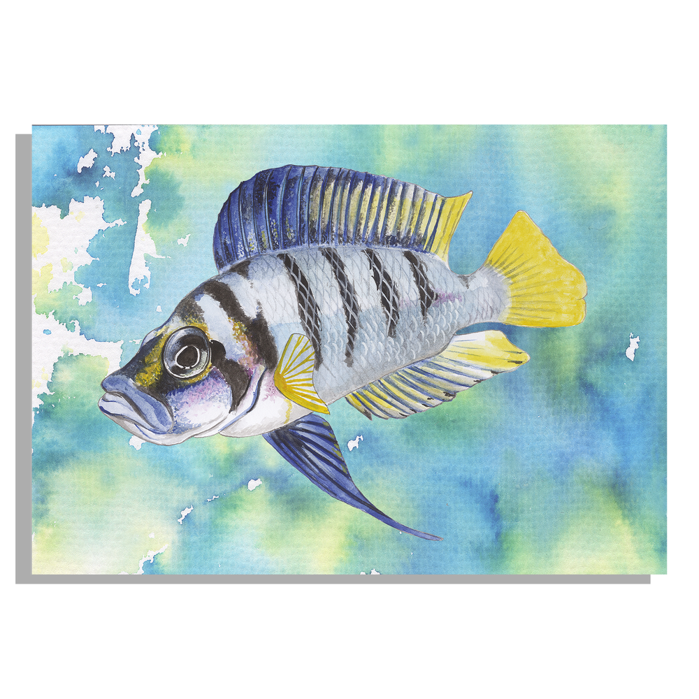 Inductieplaatbeschermer "Tropische vis"