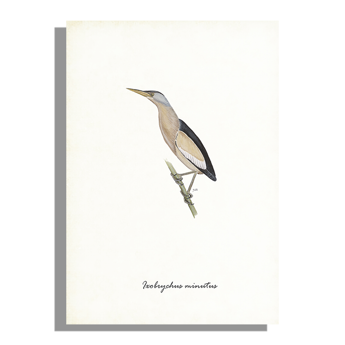 Wanddecoratie "Woudaapje"