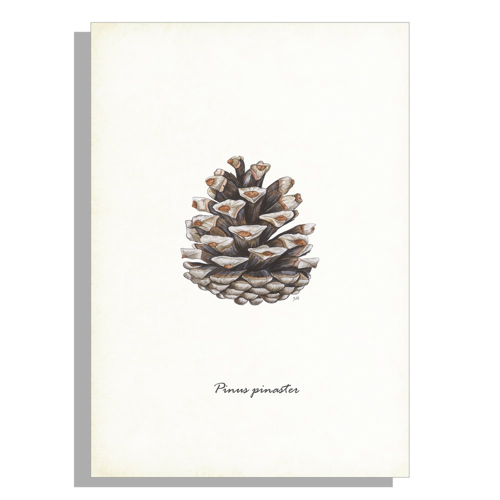 Wanddecoratie "Zeeden"