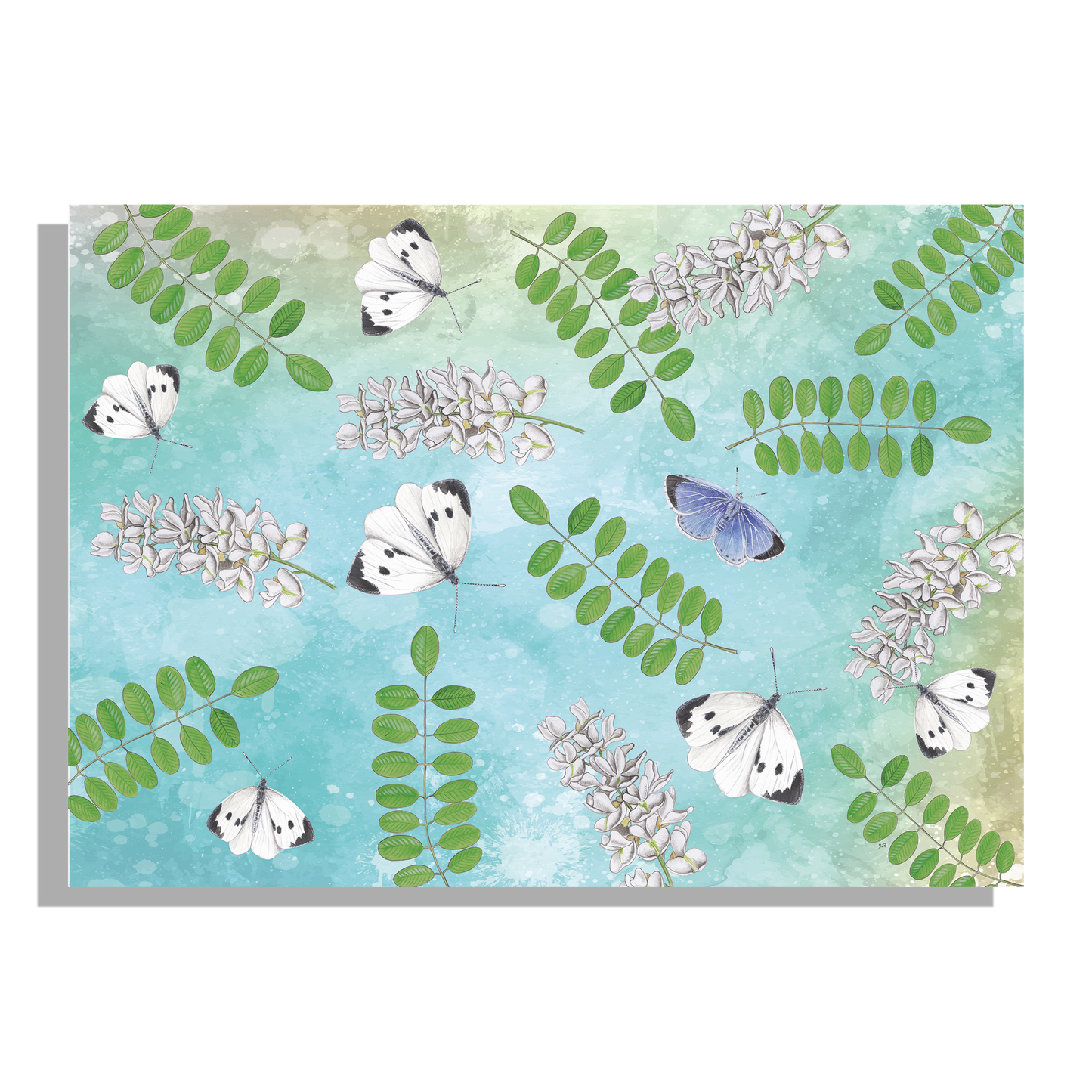Tuinposter "Acacia met witjes op blauwe achtergrond"