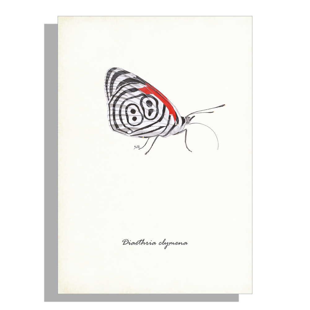 Wanddecoratie "Eighty-eigth butterfly"