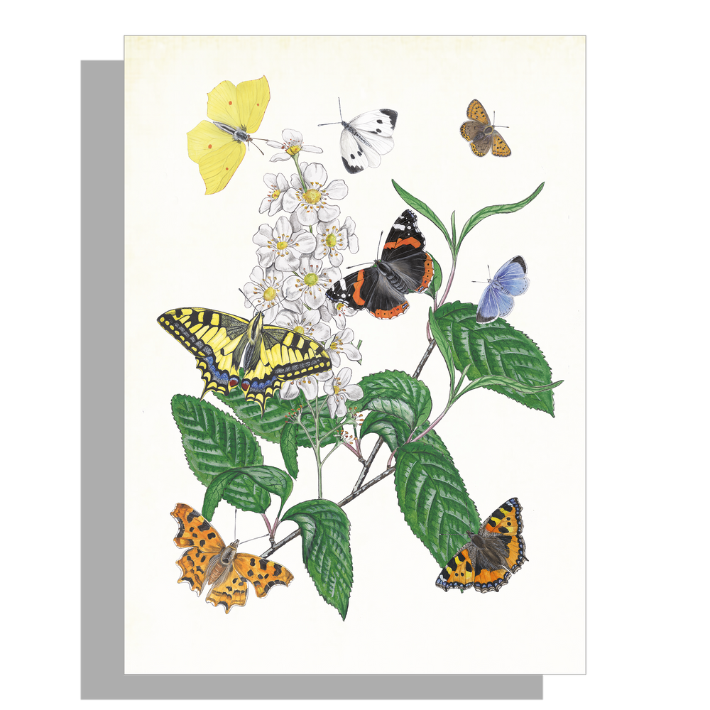 Wanddecoratie "Gewone vogelkers met haar vlinders"