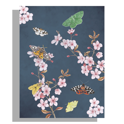 Tuinposter "Japanse kers in trek bij vlinders"