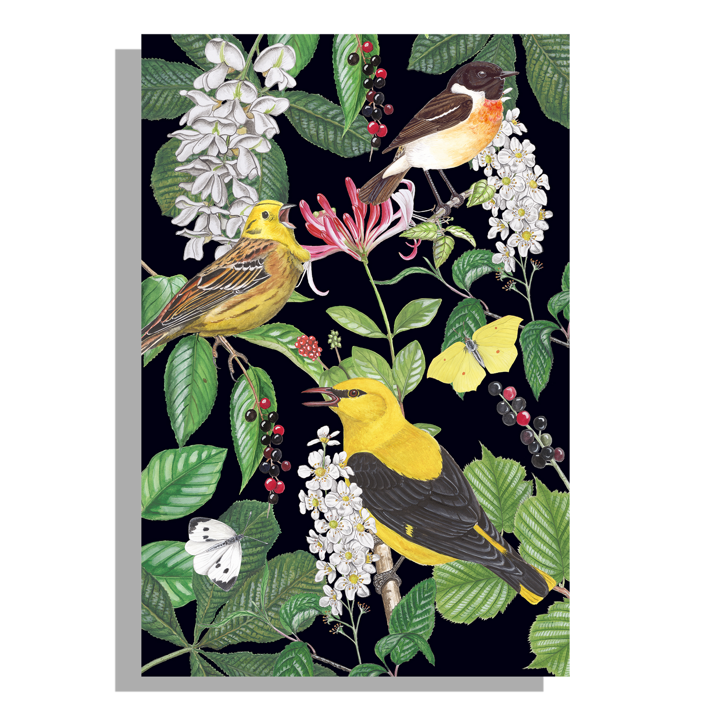 Containersticker "Kamperfoelie met vogels"