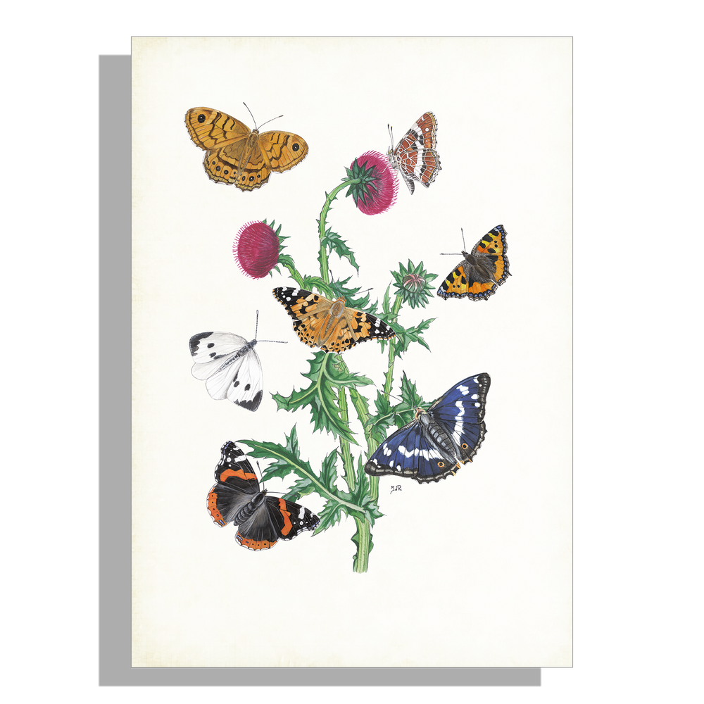 Wanddecoratie "Knikkende distel met vlinders"