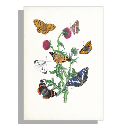 Wanddecoratie "Knikkende distel met vlinders"