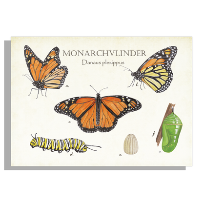 Muismat "Monarchvlinder"