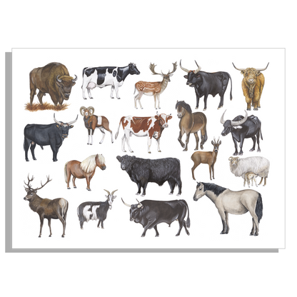 Schoolplaat "Grote grazers"
