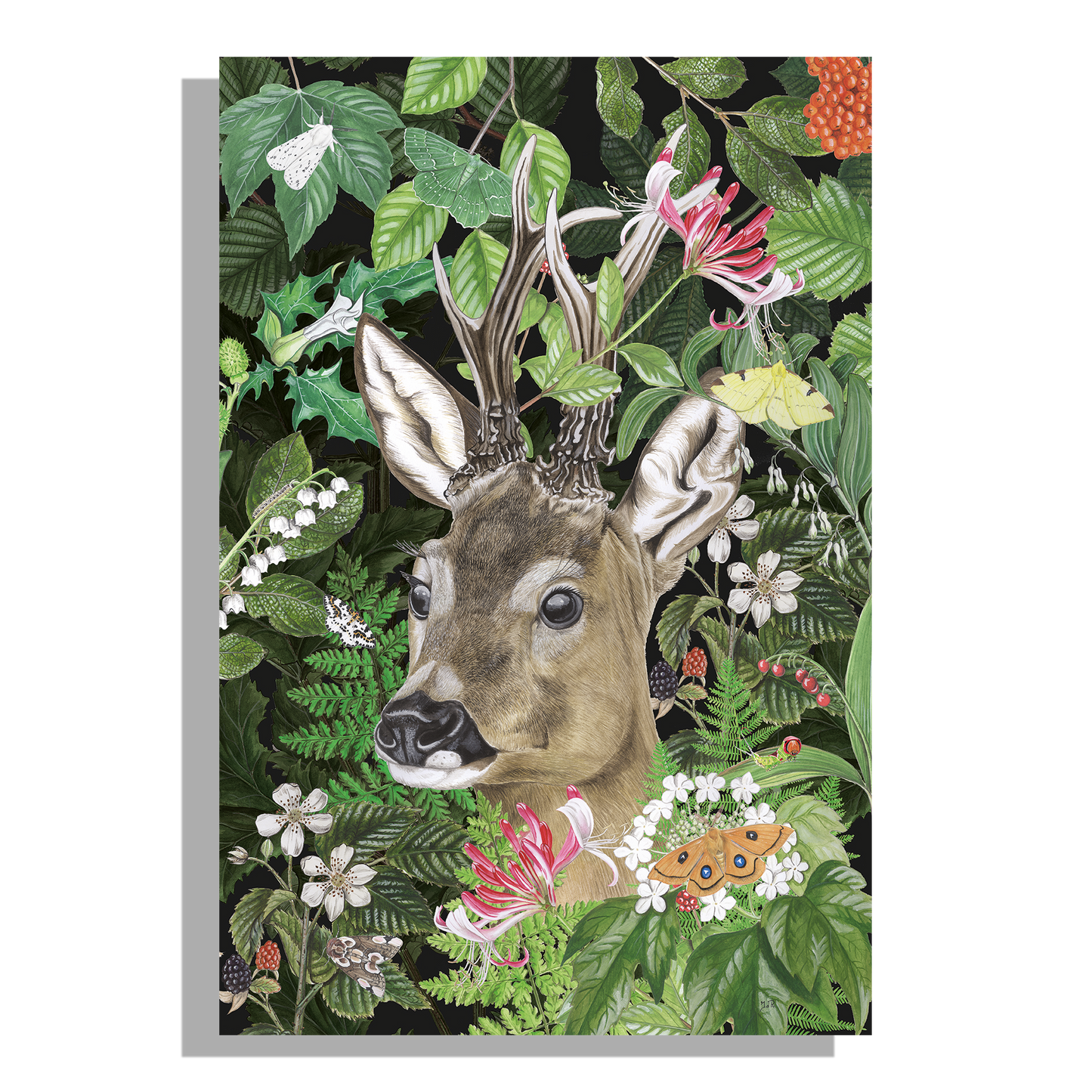 Containersticker "Ree in het wild"