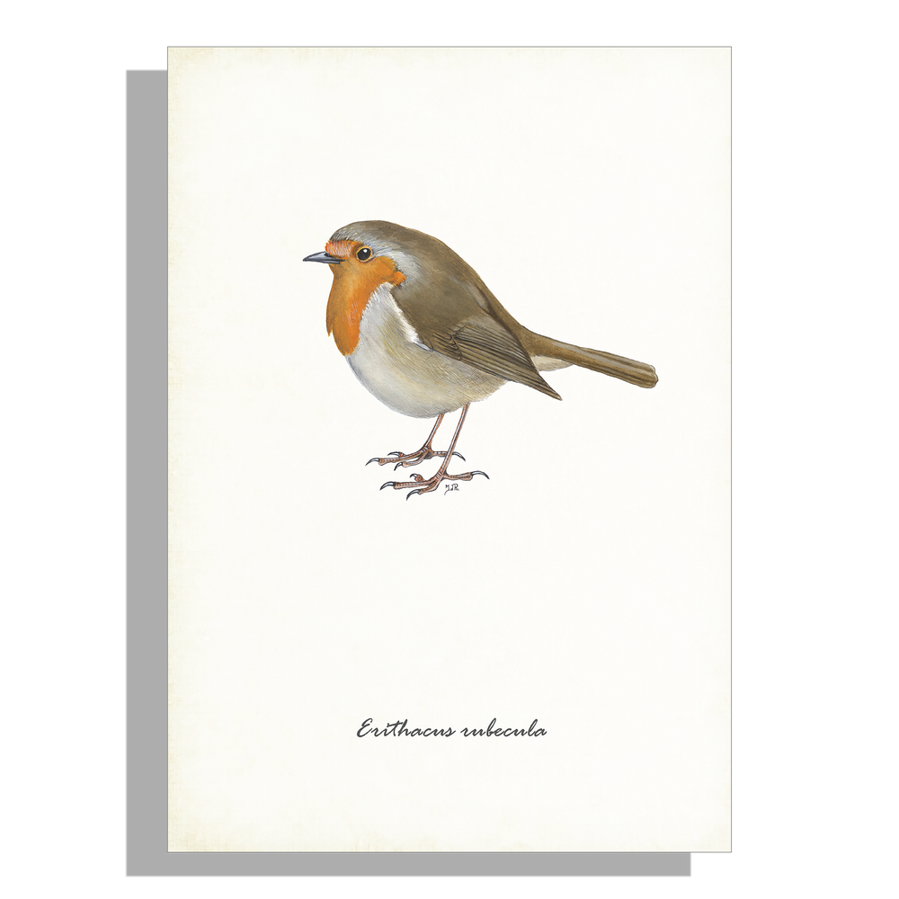 Wanddecoratie "Roodborst"