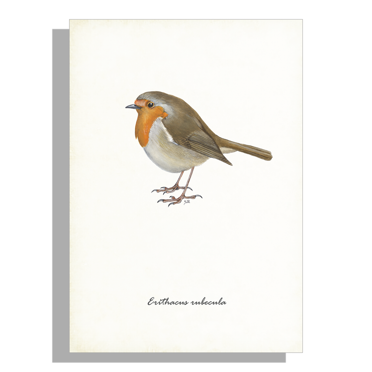 Wanddecoratie "Roodborst"
