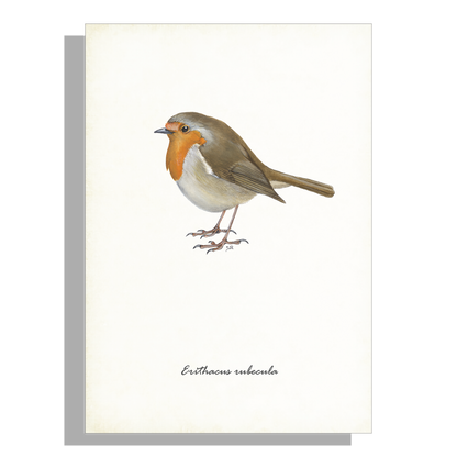 Wanddecoratie "Roodborst"