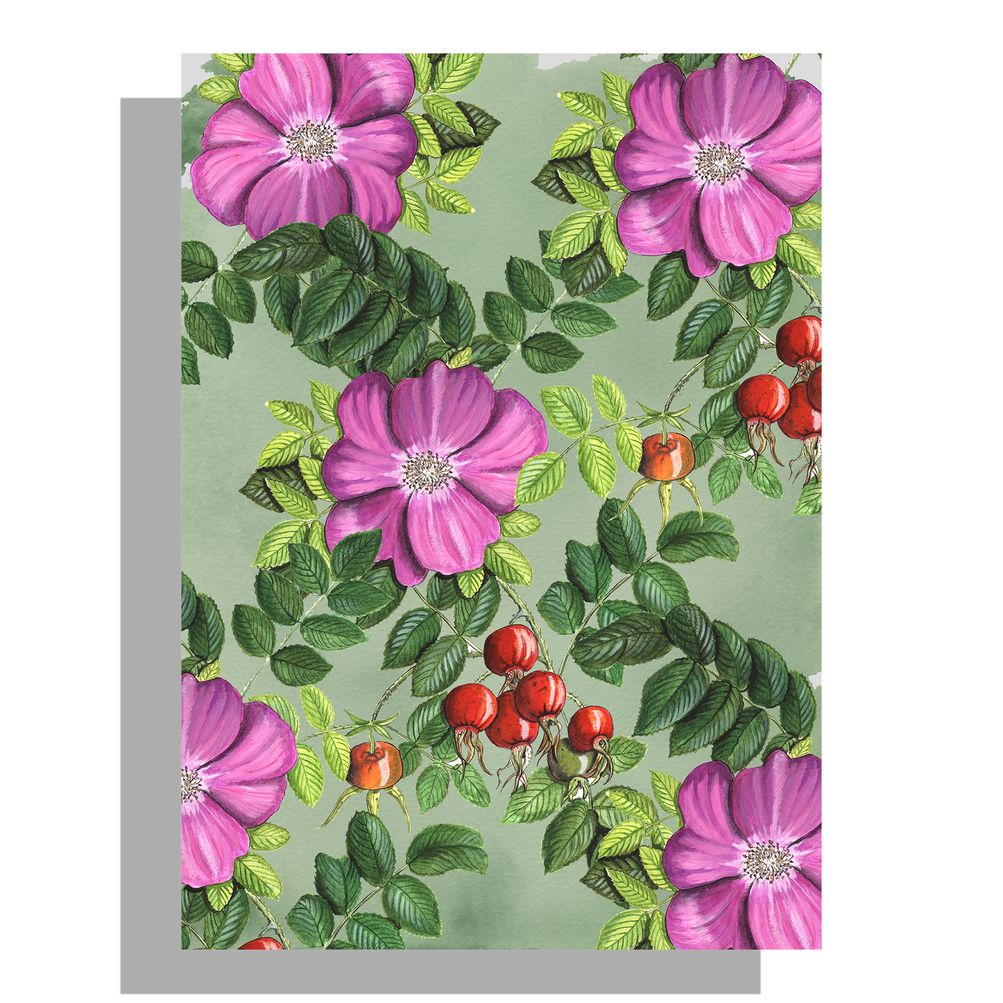 Tuinposter "Rozenbottel, vintage"