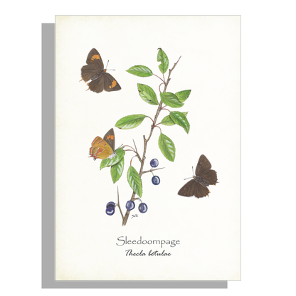Wanddecoratie "Sleedoornpage"