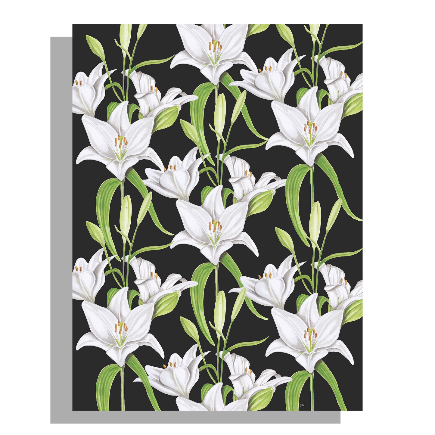 Tuinposter "Witte lelies in de nacht"