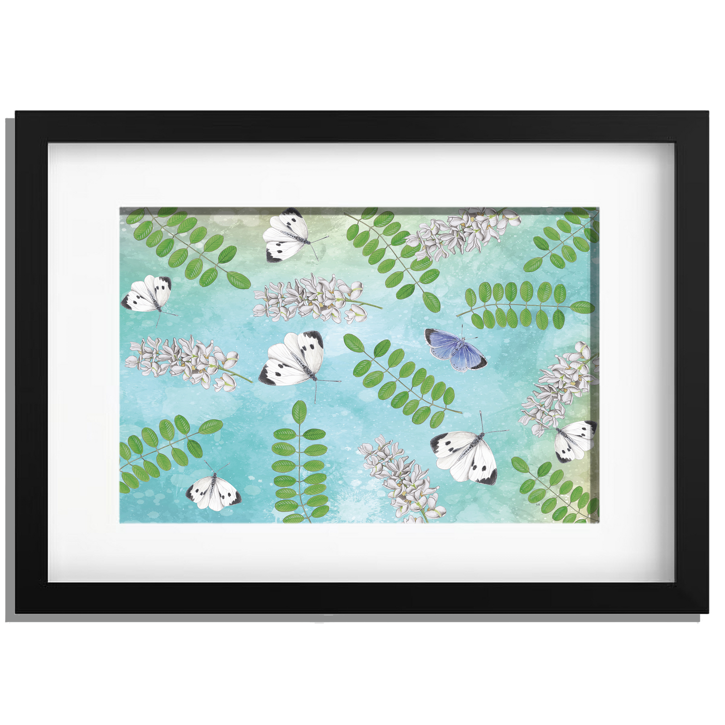 Ingelijst "Acacia met witjes op blauwe achtergrond"