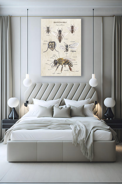 Wanddecoratie "Anatomie Honingbij"