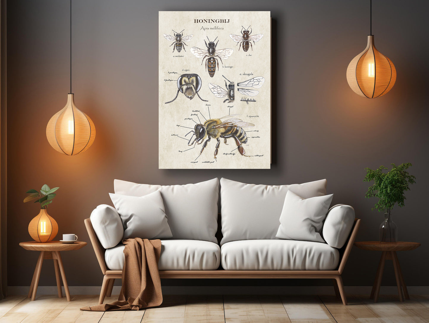 Wanddecoratie "Anatomie Honingbij"