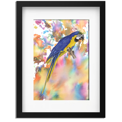 Ingelijst "Blauwe ara"
