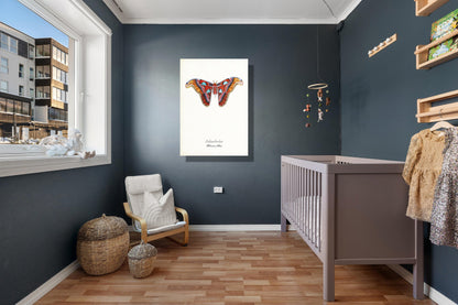 Wanddecoratie "Atlasvlinder"