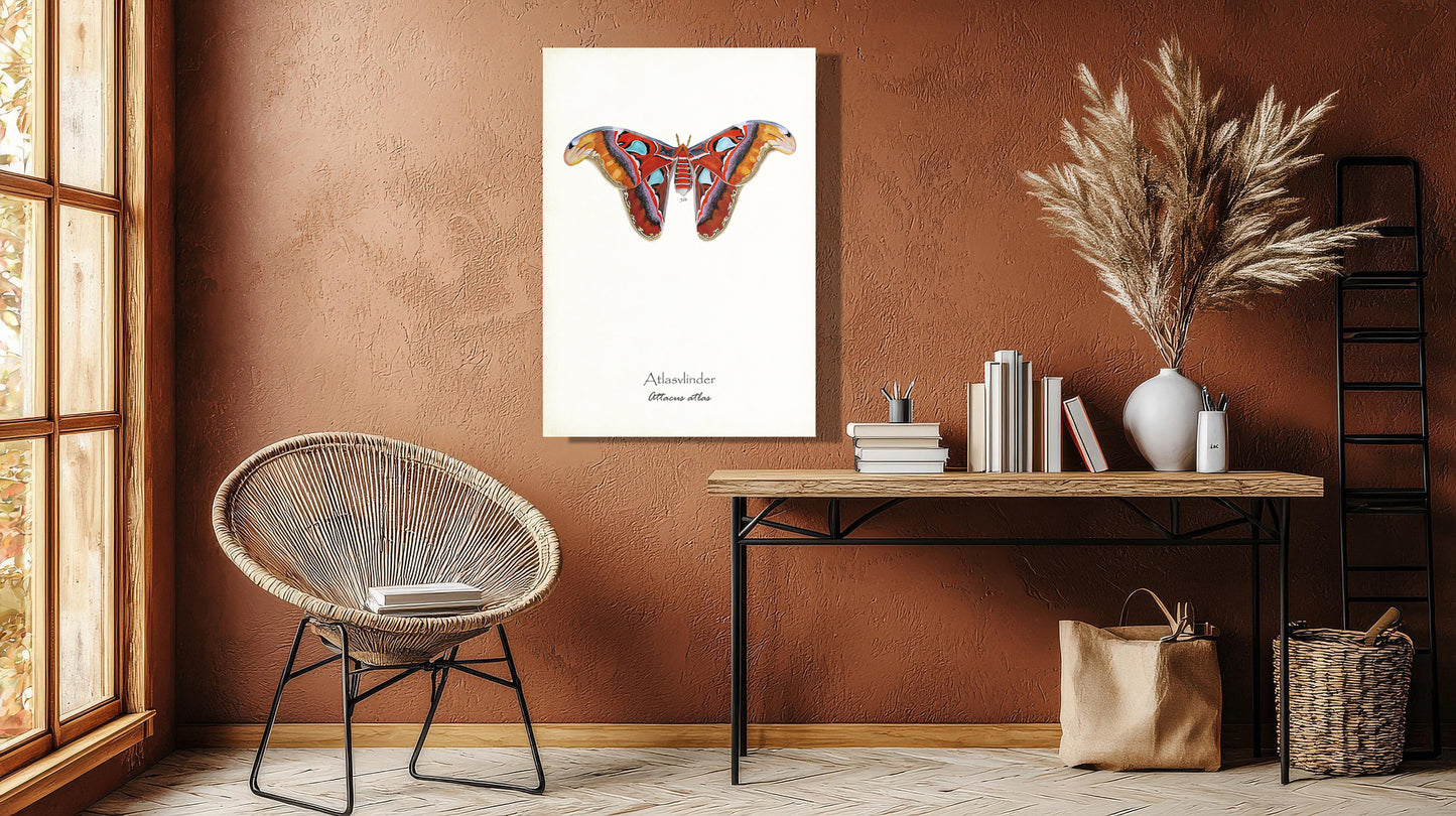 Wanddecoratie "Atlasvlinder"