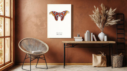 Wanddecoratie "Atlasvlinder"