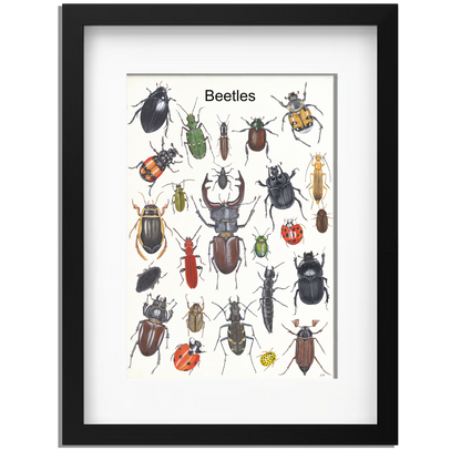 Ingelijst "Beetles"