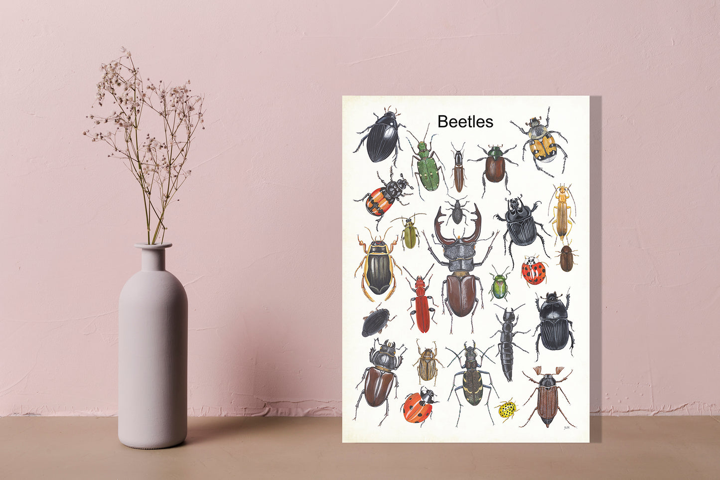 Wanddecoratie "Beetles"