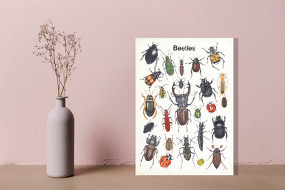 Wanddecoratie "Beetles"