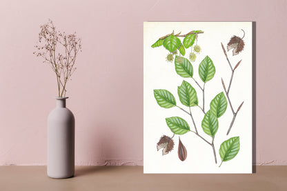 Wanddecoratie "Beuk, het leven van"