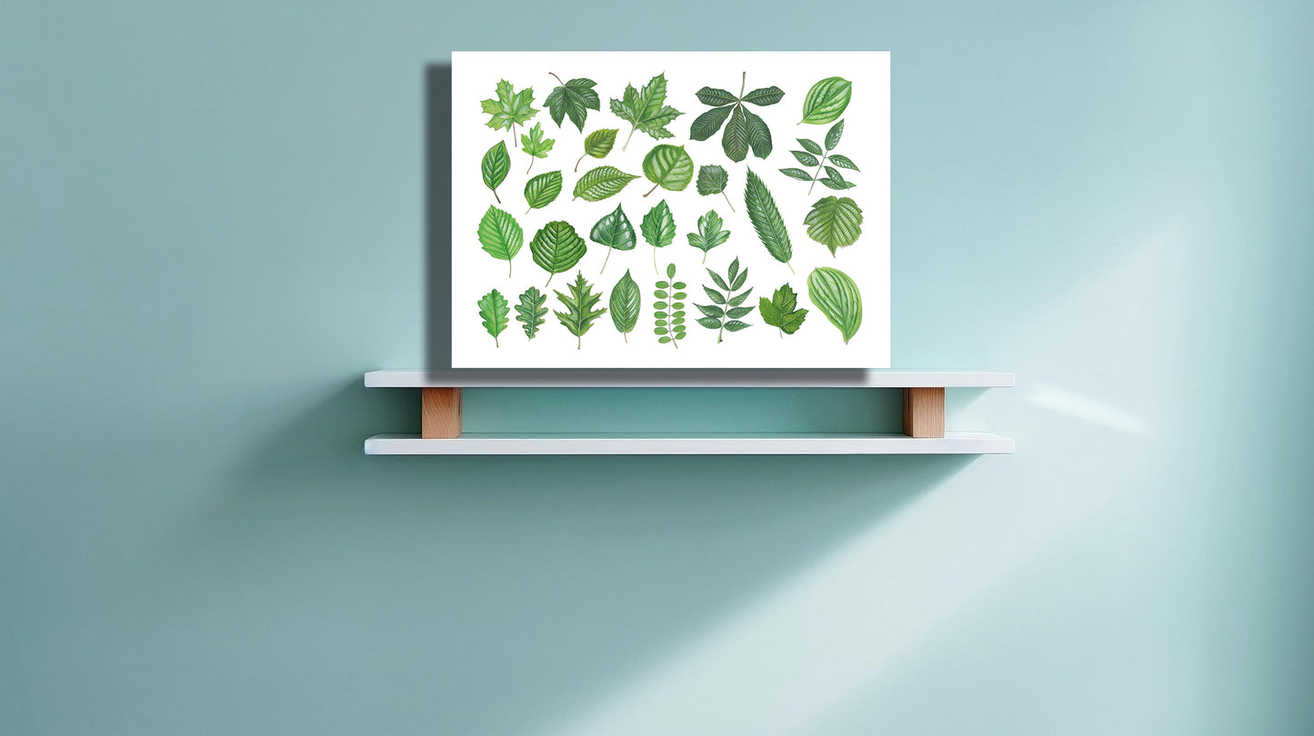 Wanddecoratie "Collectie van bladeren"