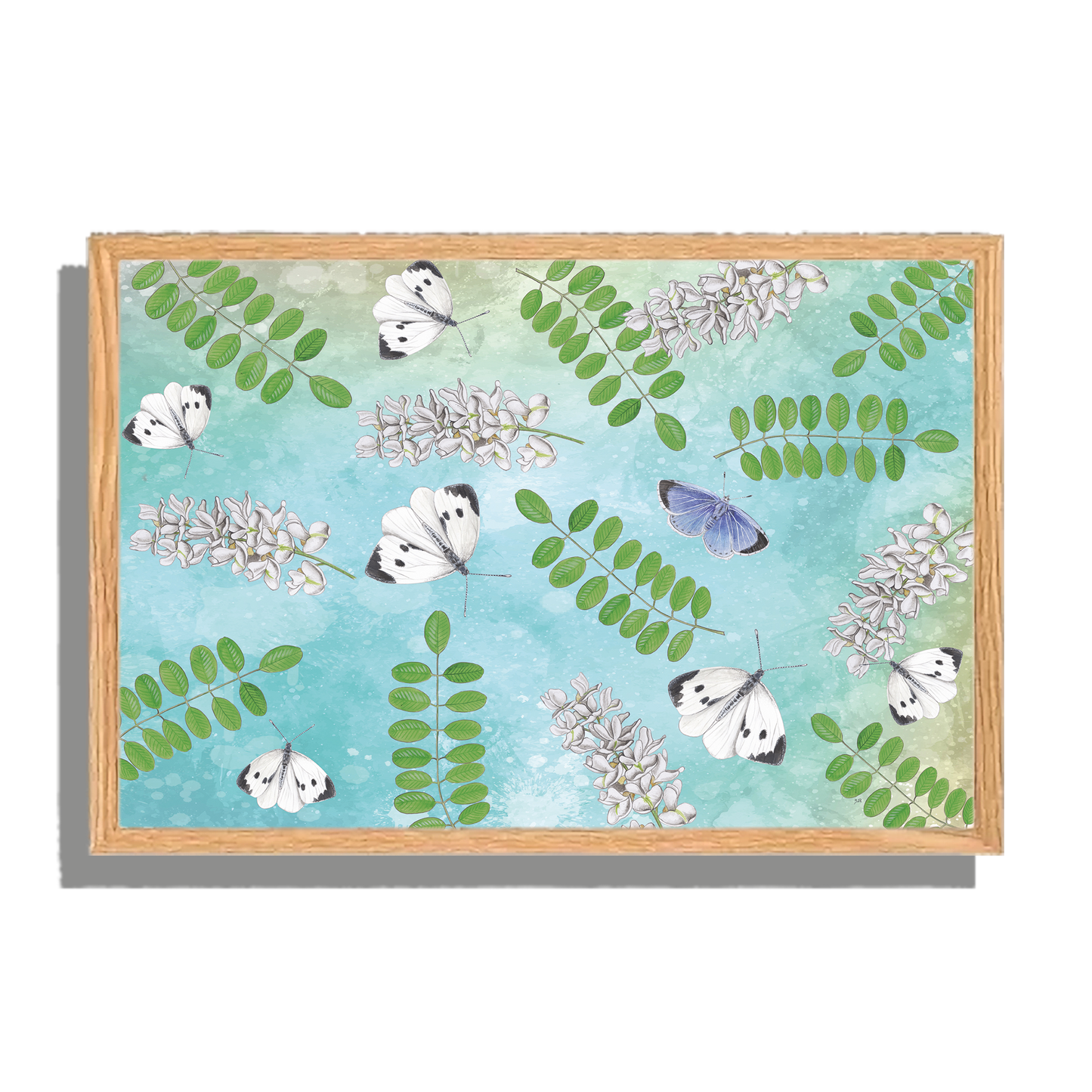 Ingelijst "Acacia met witjes op blauwe achtergrond"