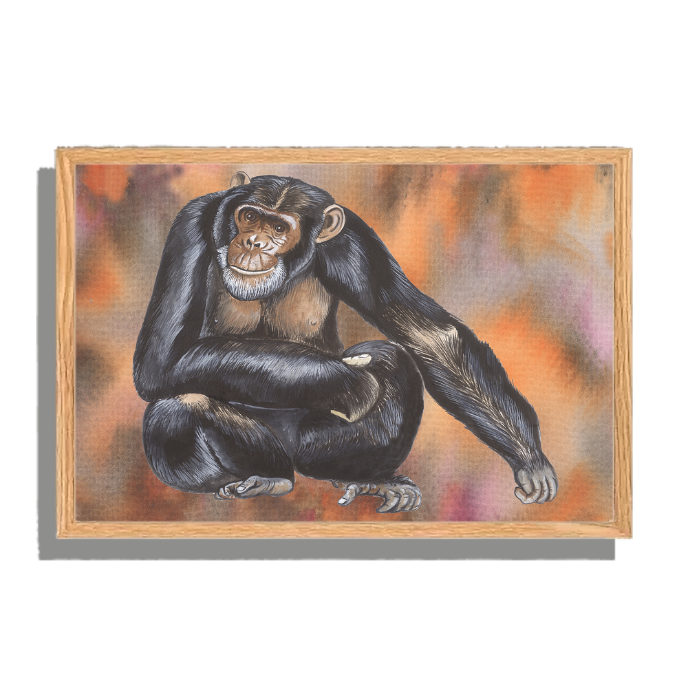 Ingelijst "Chimpansee"