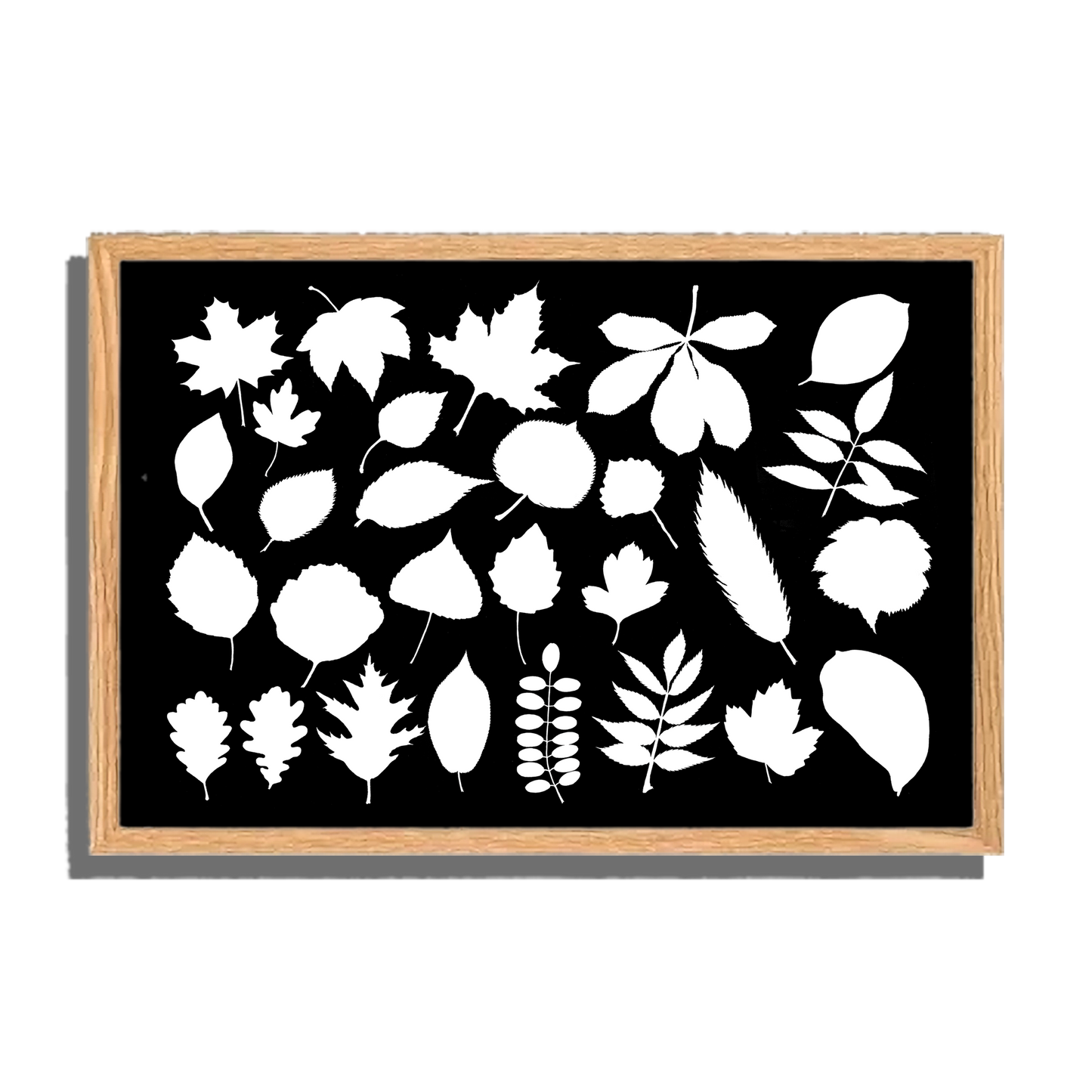 Ingelijst "Collage van bladeren witzwart"