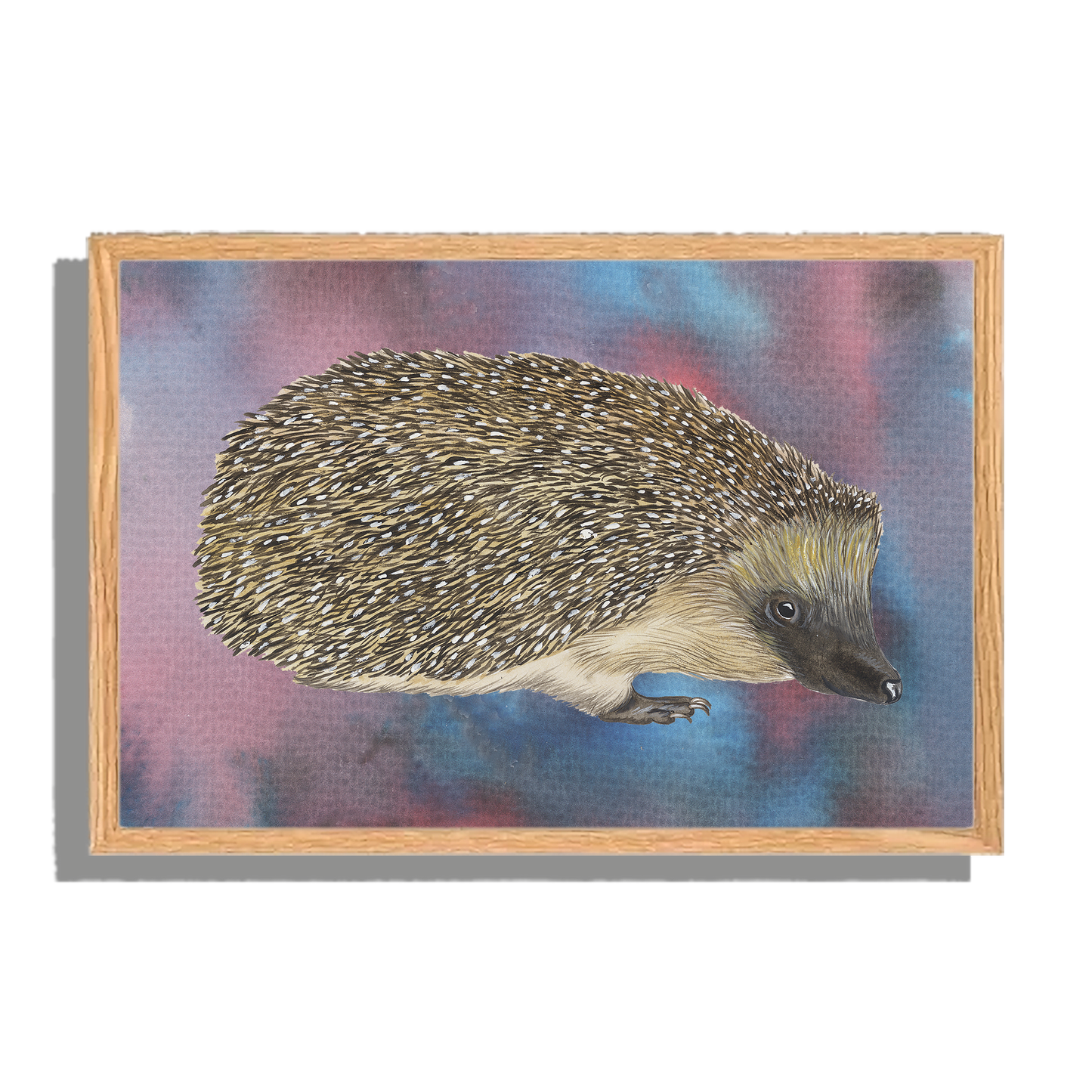 Ingelijst "Egel"