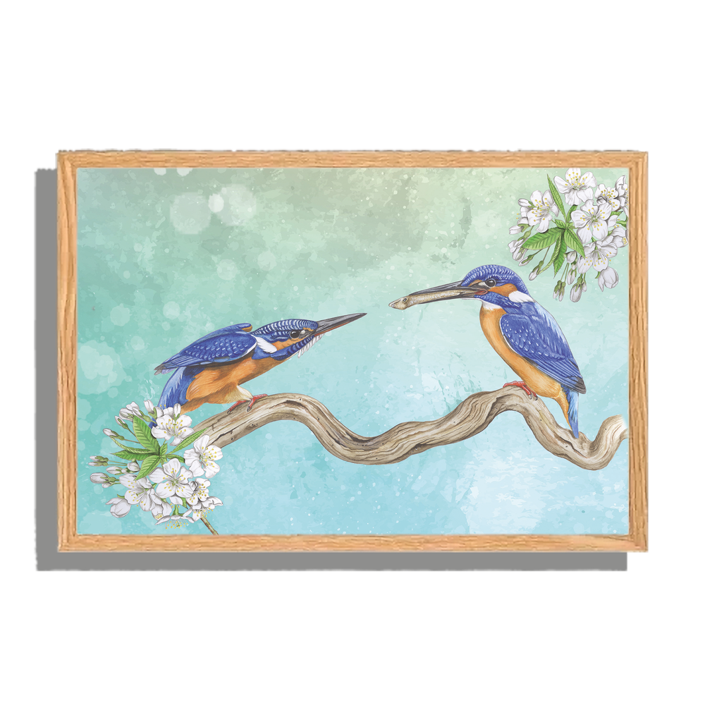 Ingelijst "IJsvogels, paringsritueel