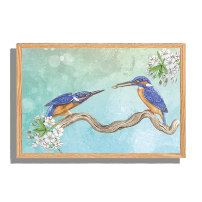 Ingelijst "IJsvogels, paringsritueel