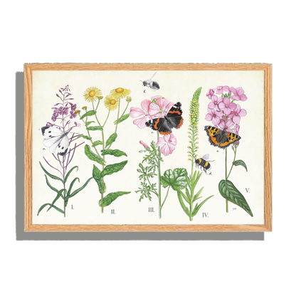 Ingelijst "Planten en haar insecten"