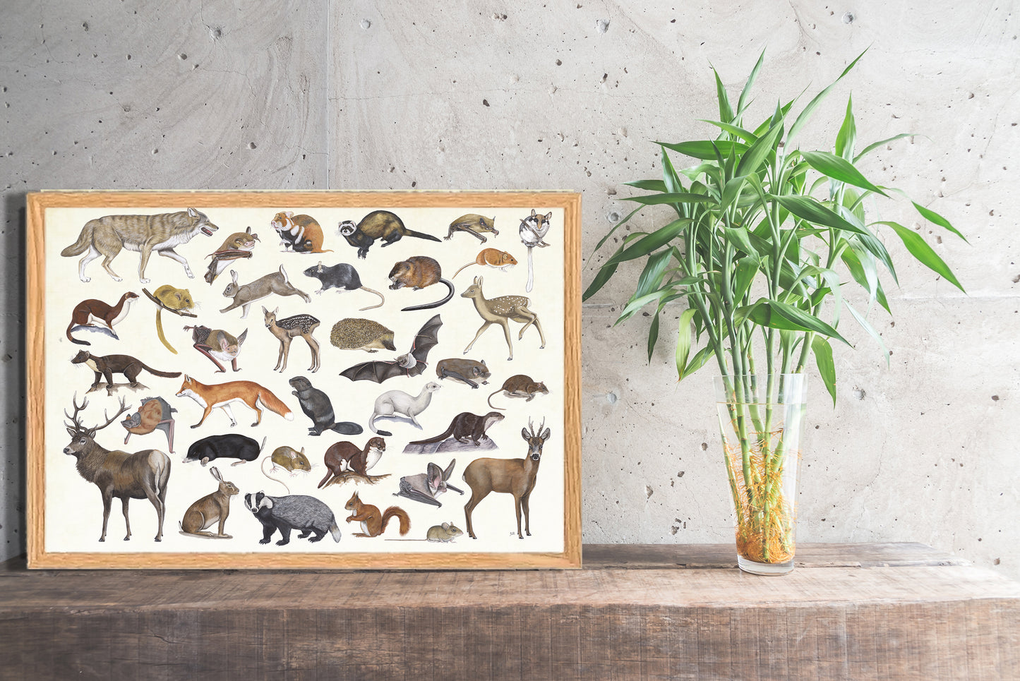 Ingelijst "Zoogdieren"