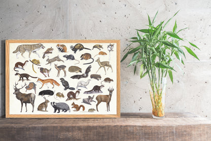 Ingelijst "Zoogdieren"