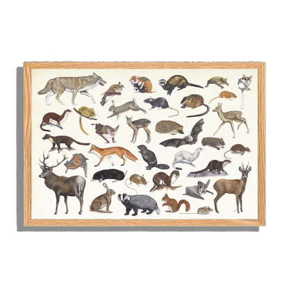 Ingelijst "Zoogdieren"