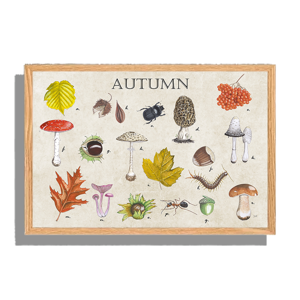 Ingelijst "Autumn"