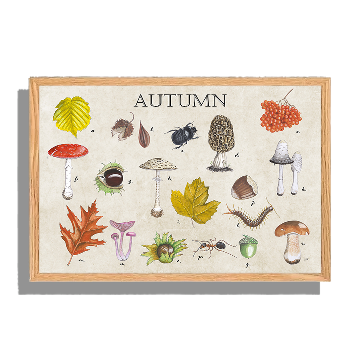Ingelijst "Autumn"