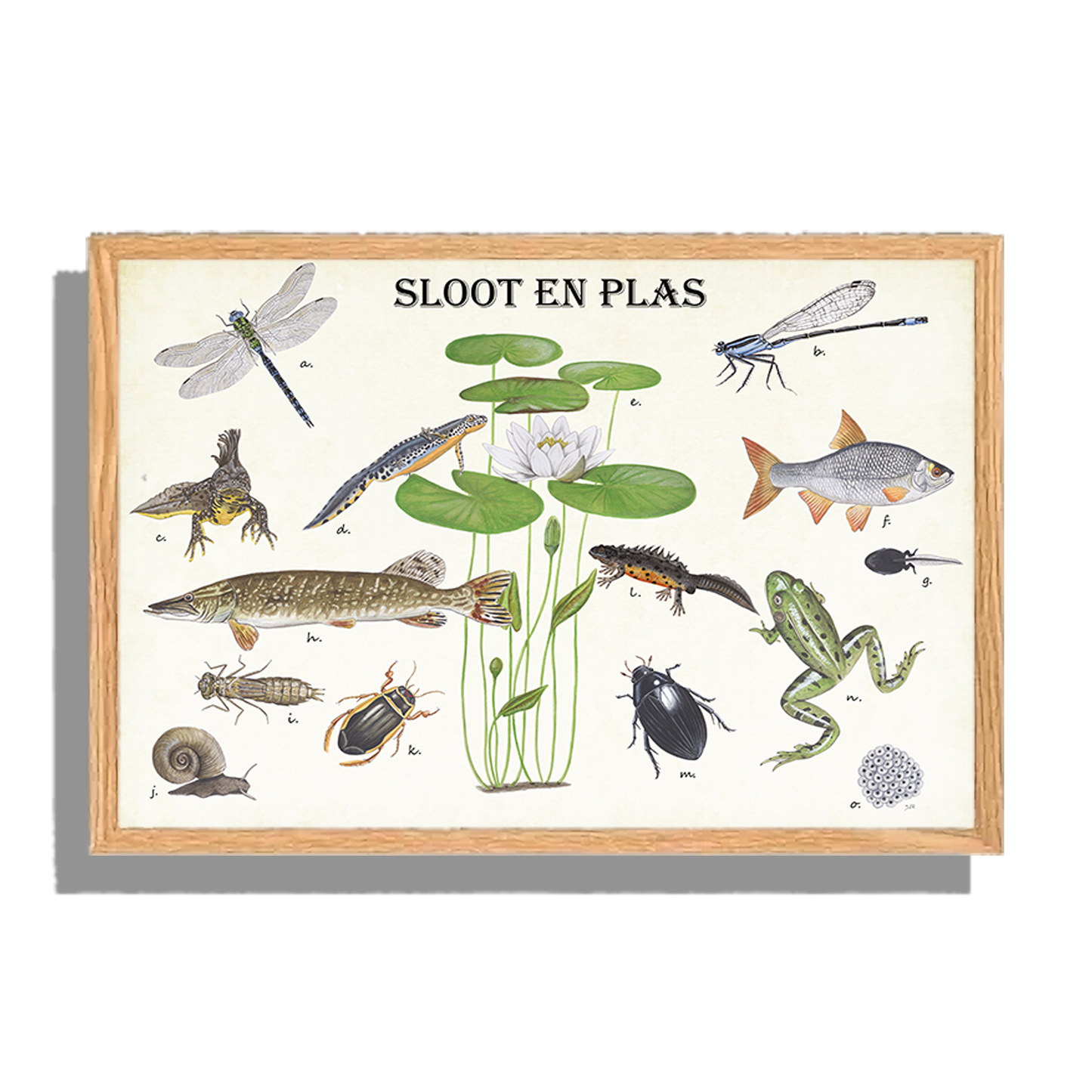 Ingelijst "Sloot en plas"